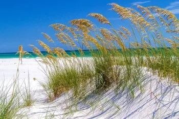 30a fall blog banner image 2