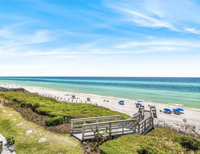 book early summer featured image 1