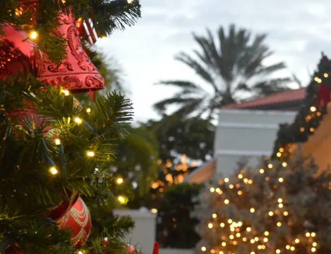 e30a old florida holiday   winter market blog featured image 1