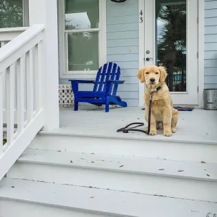 1 daydream believer  seagrove  13 exterior