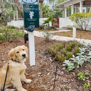 1.5 daydream believer  seagrove  13 exterior