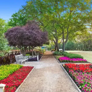10 wc146 watercolor amenities may 2025
