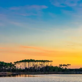 coming soon fill in pics memories at the seashore 01