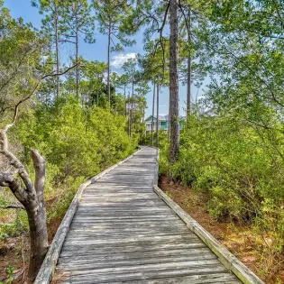 coming soon fill in pics memories at the seashore 02