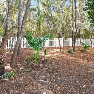 flamingo key reshoot jan26 97