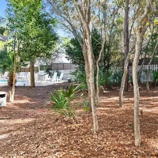 flamingo key reshoot jan26 99