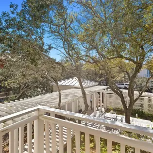 have a little fun carriage 31