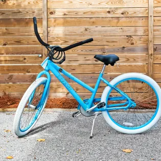 have a little fun carriage bikes 01