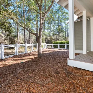 in your dreams march 2026 23