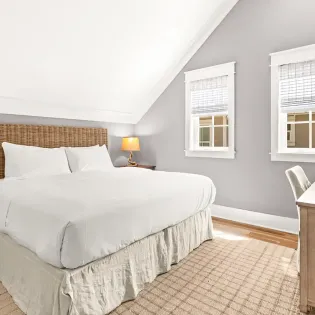 in your dreams march 2026 66