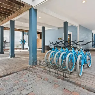 just in thyme reshoots 06