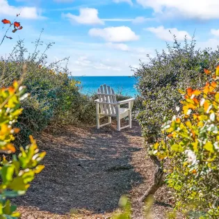 looney dunes temp pics 33