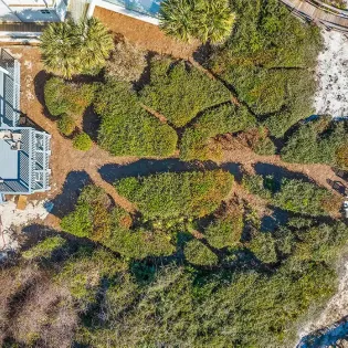 looney dunes temp pics 36