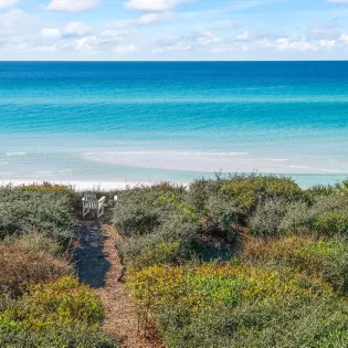 looney dunes temp pics 41