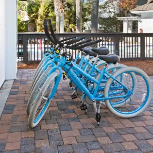 pelican pines reshoot dec 2519