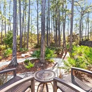 pelican pines reshoot dec 2598