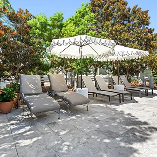 pine lily oasis 105