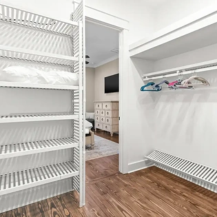 pine lily oasis 71