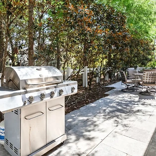 pine lily oasis 91