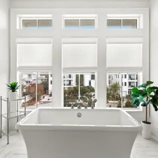 pomp in paradise 102