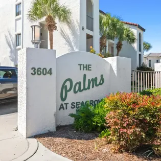 the palms 01