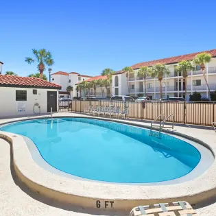 the palms 02