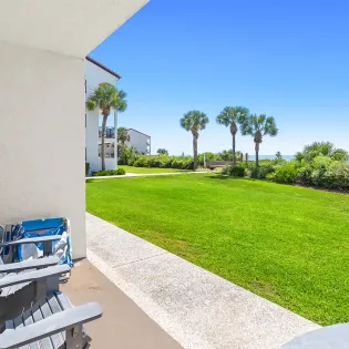 the palms 31