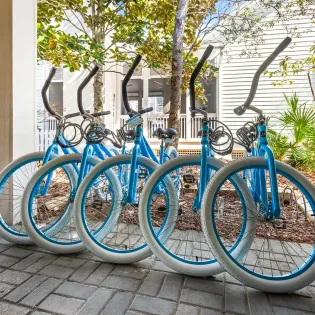 walk on the ocean 80