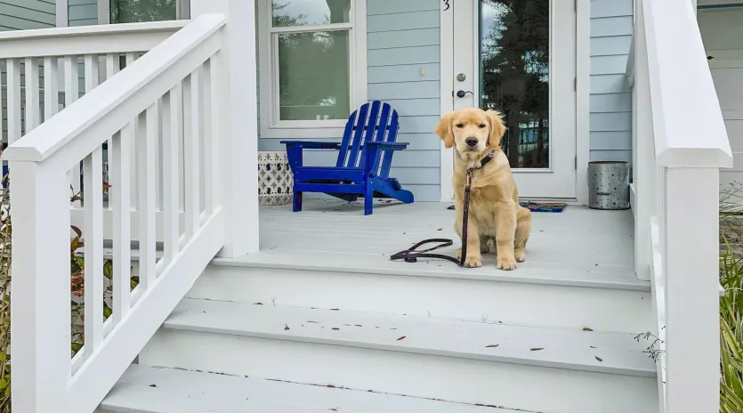 1 daydream believer  seagrove  13 exterior