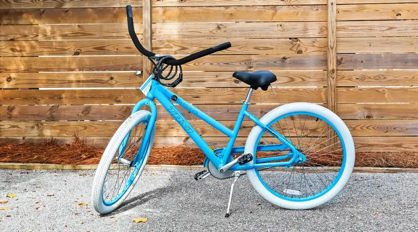 have a little fun carriage bikes 01