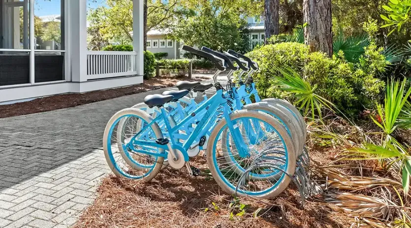 in your dreams march 2026 06