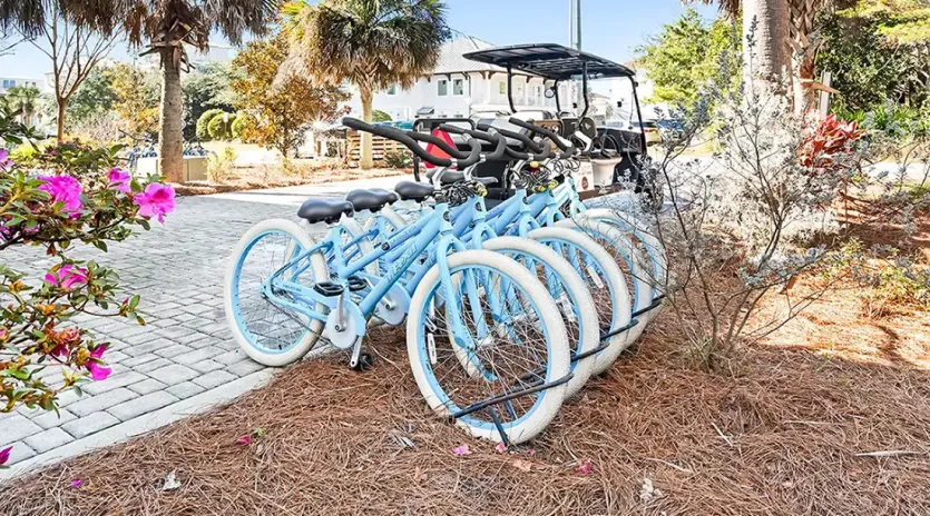 maison de la mer reshoots dec 25 04