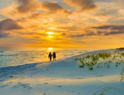 Beachfront Rentals