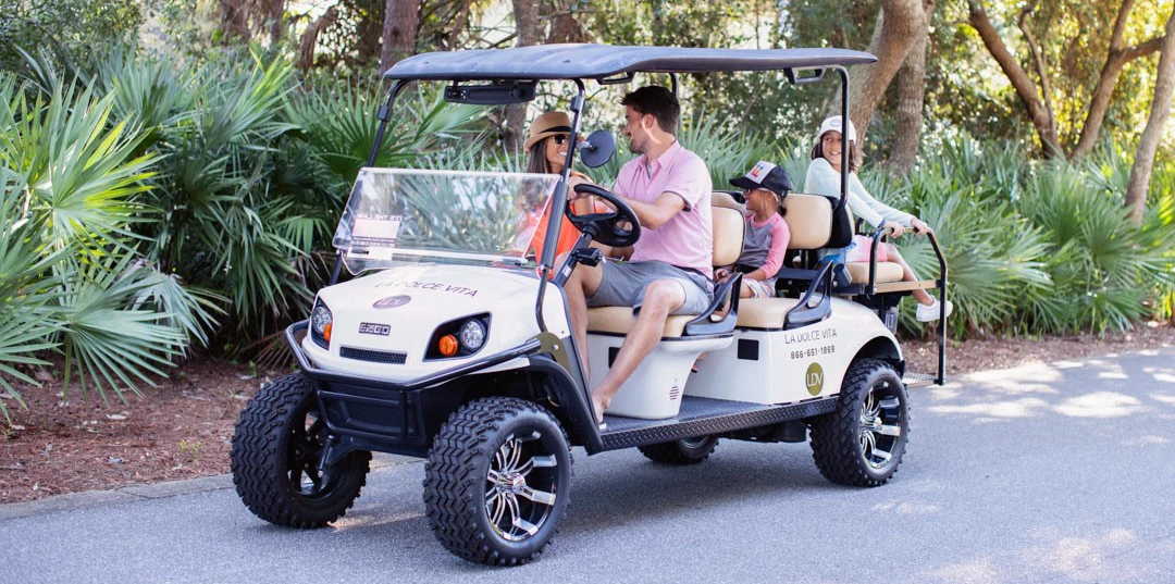 trigger image lsv family